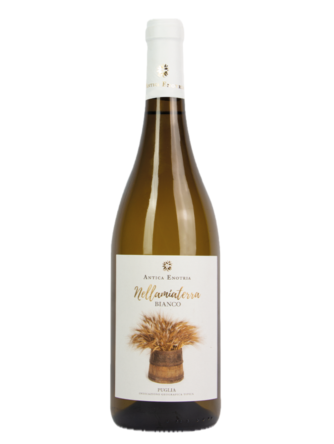 Antica Enotria | Bianco Puglia IGT Nellamiaterra | 0,75L | 2025 | Italië | Puglia| Biologisch