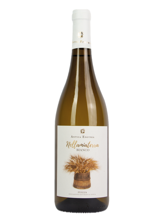 Antica Enotria | Bianco Puglia IGT Nellamiaterra | 0,75L | 2025 | Italië | Puglia| Biologisch
